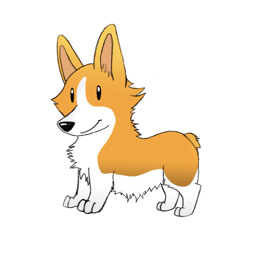 894x894 Collection Of Free Corgi Drawing Cartoon Download On Ui Ex