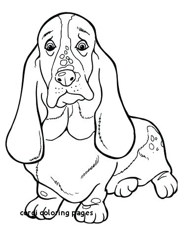 371x480 Corgi Colouring Pages Creative Coloring Book