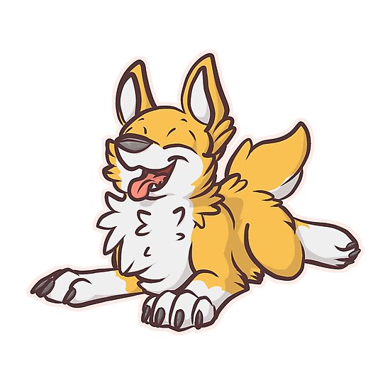 550x550 Corgi Sploot Photographic Prints