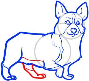 302x274 how to draw a corgi, corgi, step