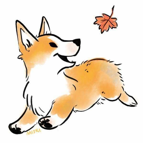600x600 animals corgi drawing, corgi, corgi cartoon
