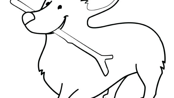 585x329 welsh corgi coloring pages cardigan