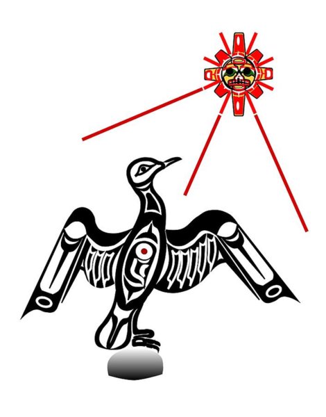 470x600 cormorant drawings fine art america