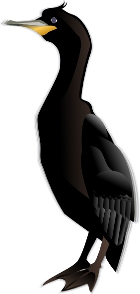 282x591 cormorant md clip art free vector in open office drawing