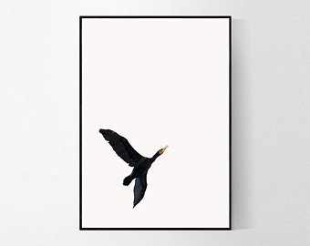 340x270 cormorant drawing etsy