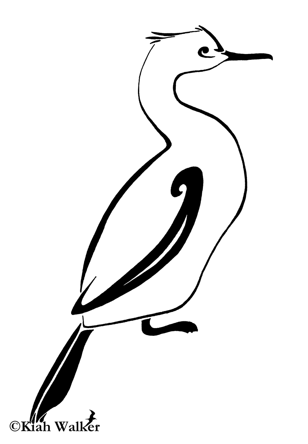 1000x1440 Drawings Tree Frog Ink