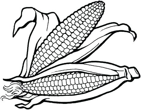 461x360 Corn On The Cob Coloring