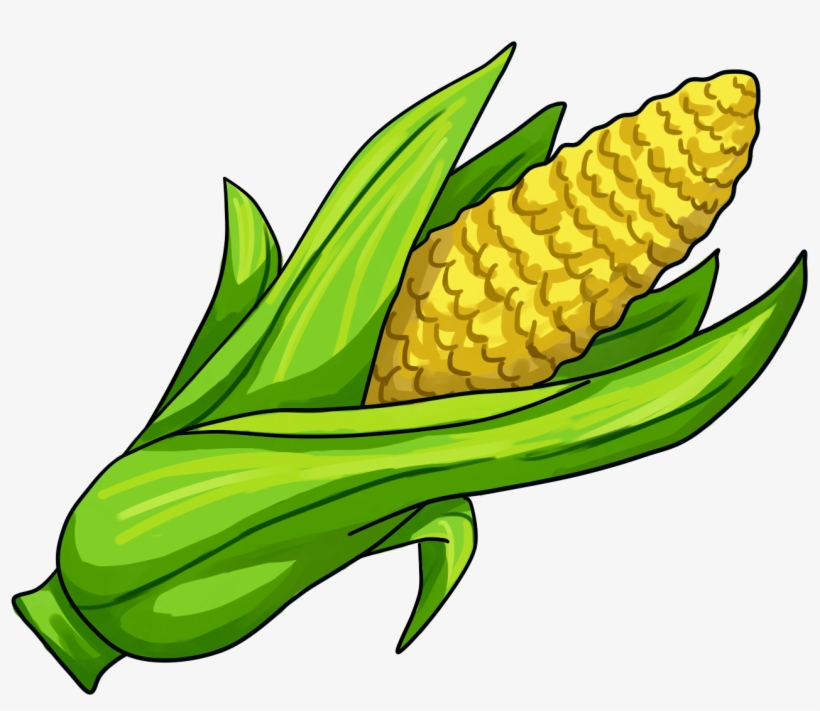 820x711 corn on the cob maize clip art