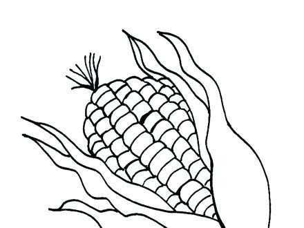 440x330 Flour Coloring