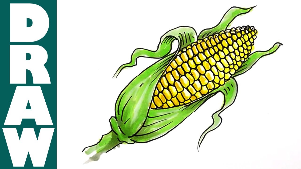 1280x720 How To Draw A Corn Cob