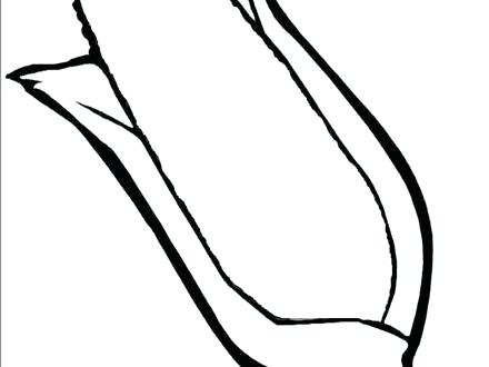 440x330 Corn Cob Coloring