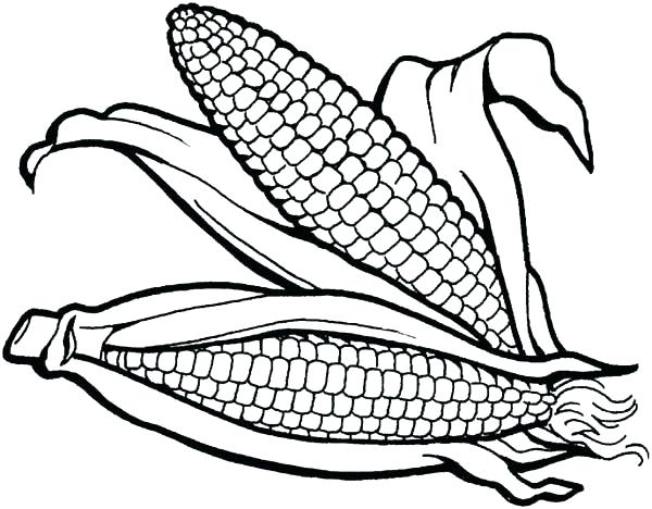 600x468 Corn Cob Coloring Sheets