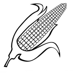 300x300 Corn Cob Coloring