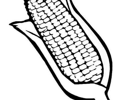 440x330 Corn Cob Coloring