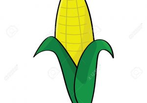 300x210 corn drawing easy how to draw corn cob stepstep