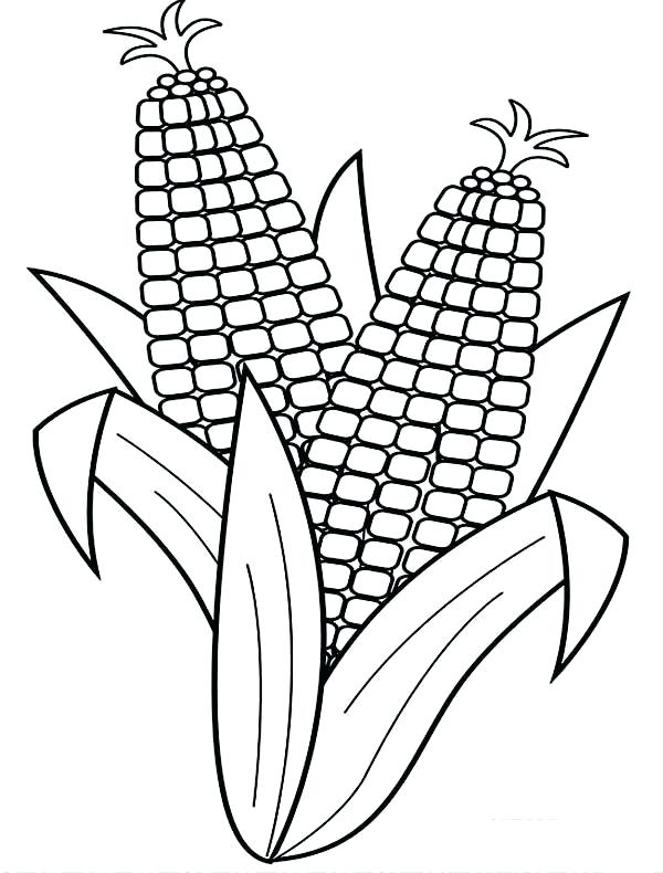 600x790 Corn Coloring