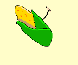 300x250 Corn Drawing