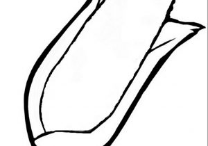 300x210 Corn Drawing Easy How To Draw A Corn Cute, Easy Stepstep Drawing