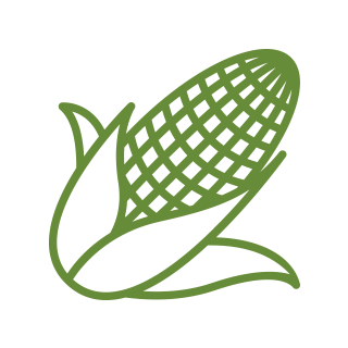 320x320 Cornfield Drawing Corn Farm Transparent Png Clipart Free