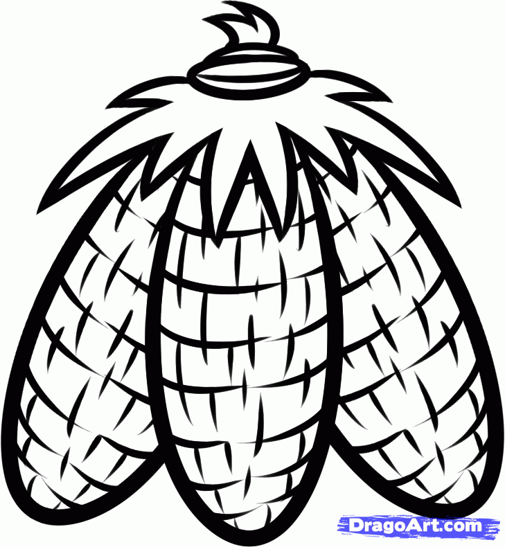 729x790 Draw Indian Corn, Step