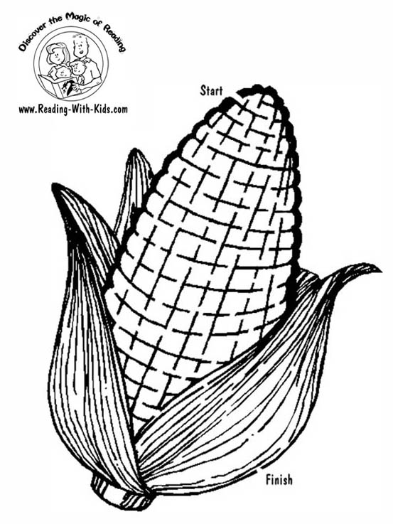 Corn Field Drawing