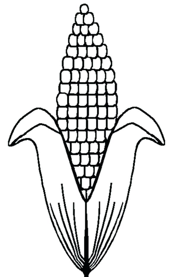 Corn Field Drawing | Free download on ClipArtMag