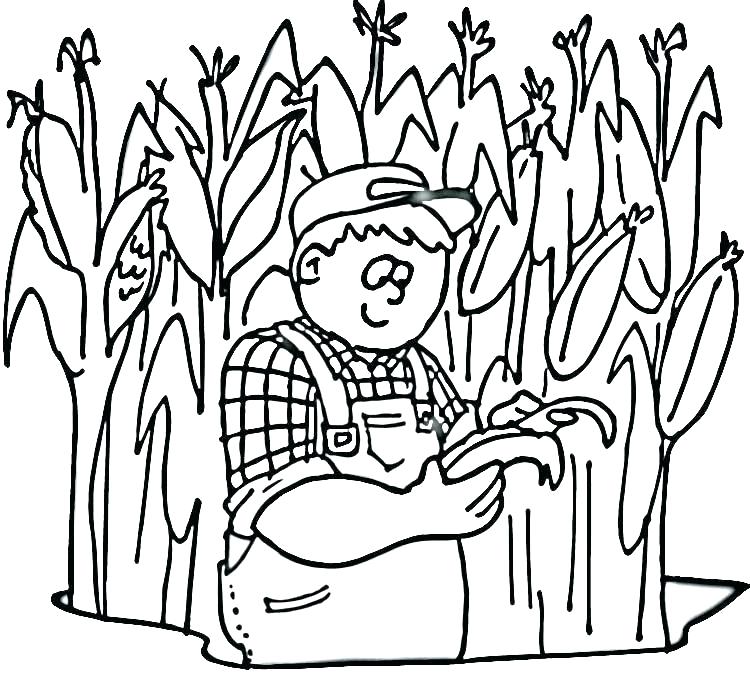 750x673 Free Coloring Pages Of Corn