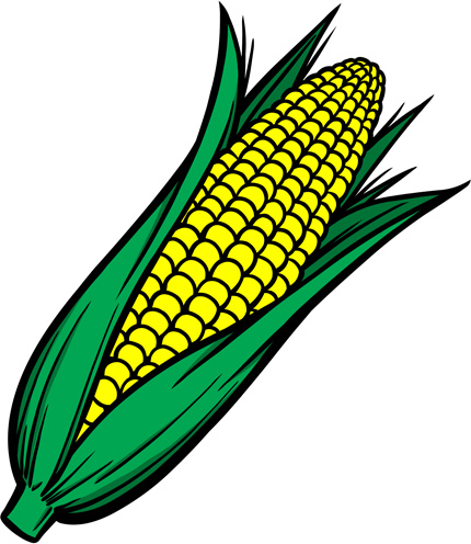 430x496 Corn Clipart Baby Corn