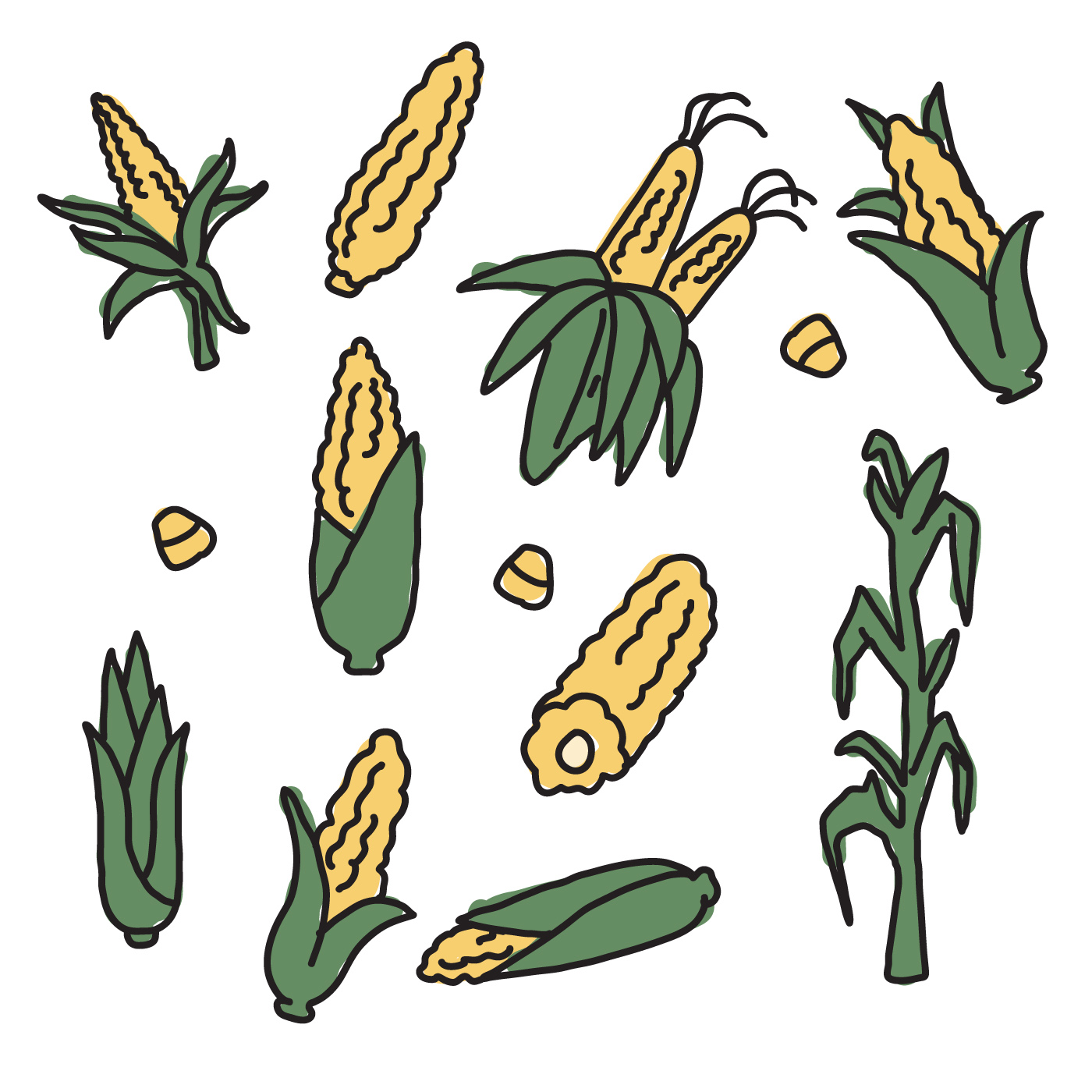 Corn Images Drawings Free download on ClipArtMag