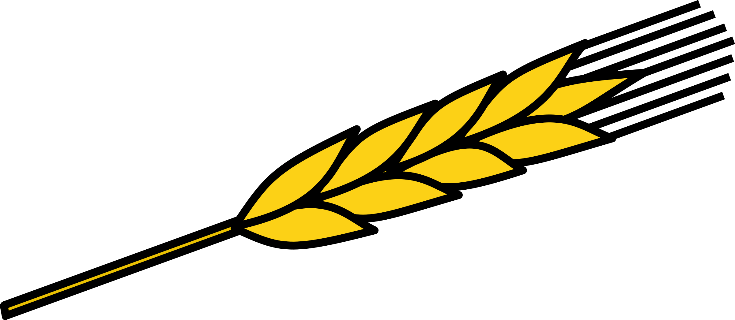 2400x1046 Ear Of Corn Drawings