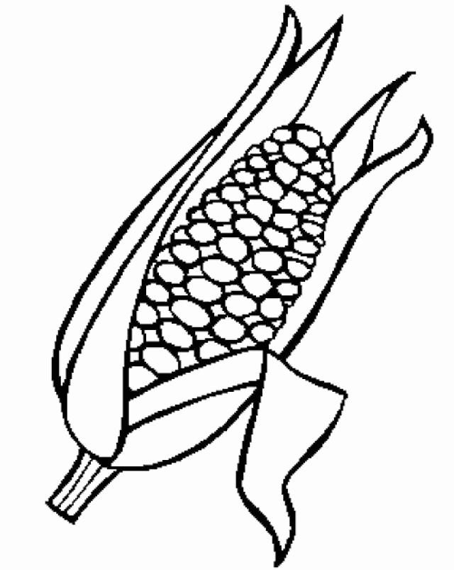 640x803 Elegant Thanksgiving Corn Coloring Pages