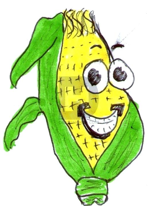 558x720 Corn On The Cob Drawing Corn On The Cob Corn Drawing Easy