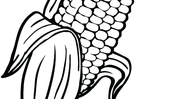 750x425 Corn Plant Coloring Sheet