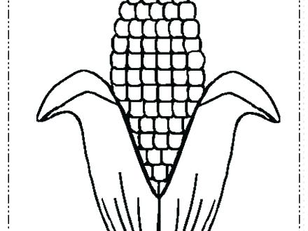 Corn Stalk Drawing | Free download on ClipArtMag