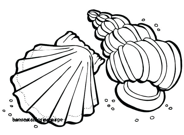 600x442 free printable corn stalks coloring pages cornstalk drawing