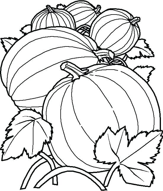 551x645 Para Color Pages Para Vegetable Coloring Pages Pumpkin Coloring