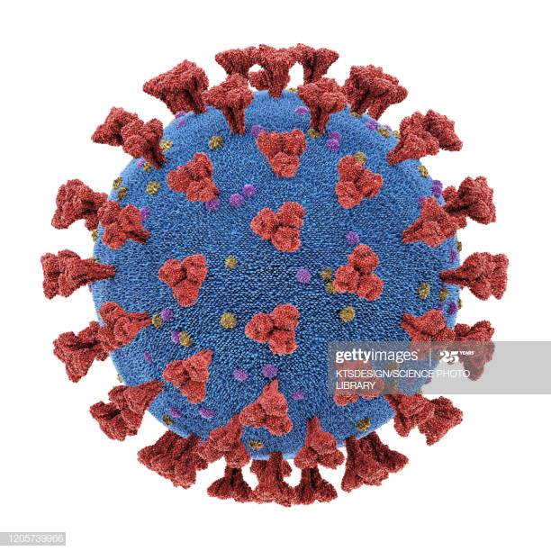 612x612 Coronavirus Clipart