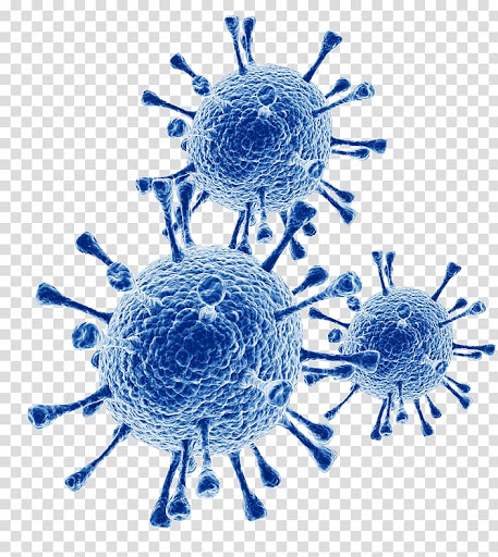 457x512 Coronavirus Clipart