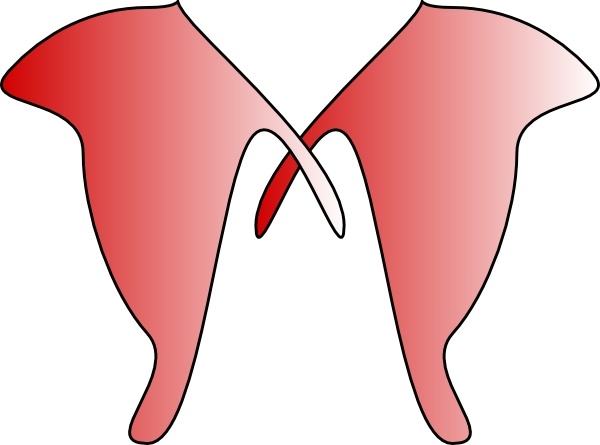 600x445 Jewelery Corsage Clip Art Free Vector In Open Office Drawing