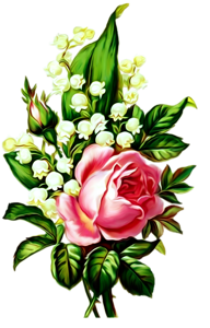 192x300 Photo From Album Tcvety On Printables