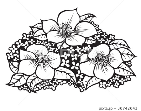 450x356 Cosmosuniversecosmo Vectors