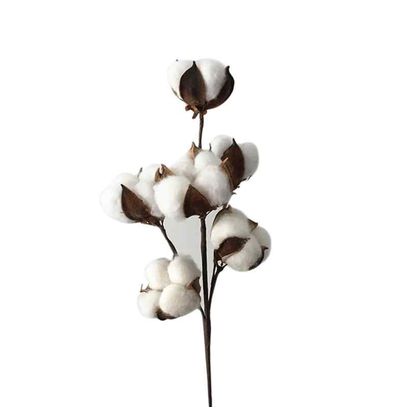 800x800 detail feedback questions about cotton stems cotton boll