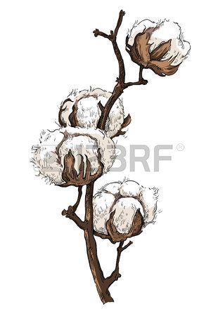 310x450 stock vector in cotton how to draw hands, cotton painting