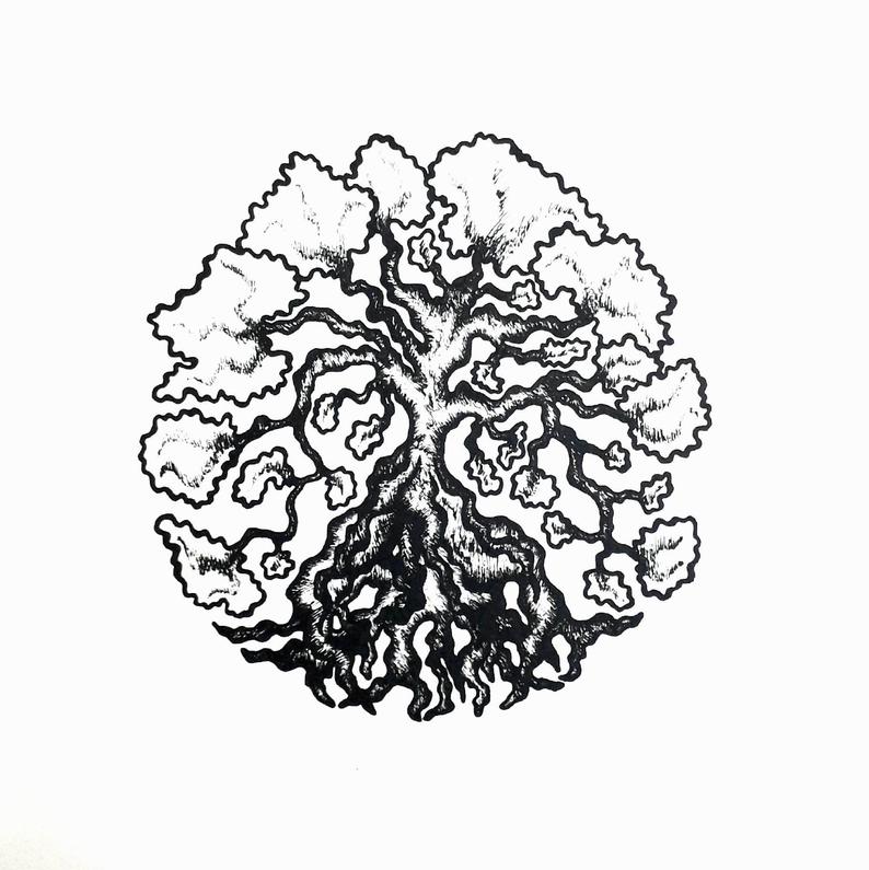 794x795 Cotton Tree Pen And Ink Drawing Print Original Design Art Etsy