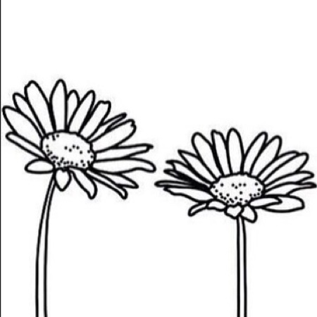 450x450 Hand Screen Printed Bum Line Drawing On Cotton Tote Bag