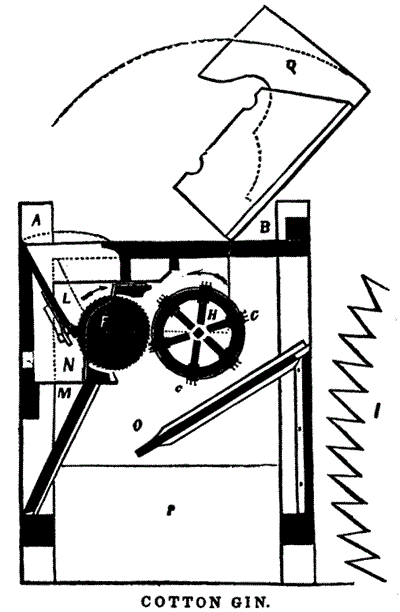 400x612 Saltofamerica Article