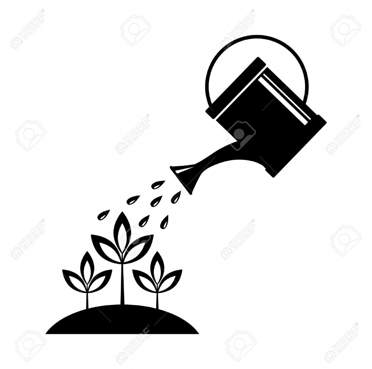 1261x1250 Cotton Plant Cute Drawing