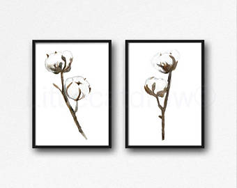 340x270 Cotton Plant Print Etsy