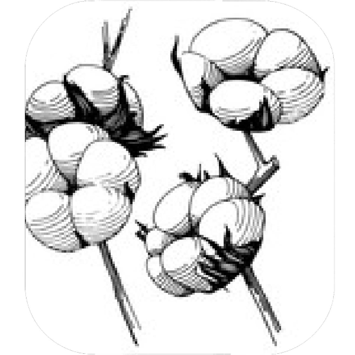 1200x1200 Designs Mein Mousepad Design Mousepad Selbst Designen