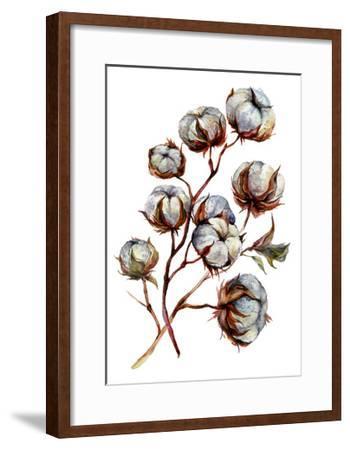 350x450 Watercolor Cotton Plant Isolated On White Drawing Of Cotton Bolls